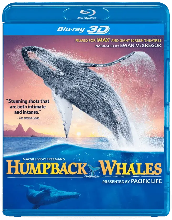 Humpback Whales 3D 2015