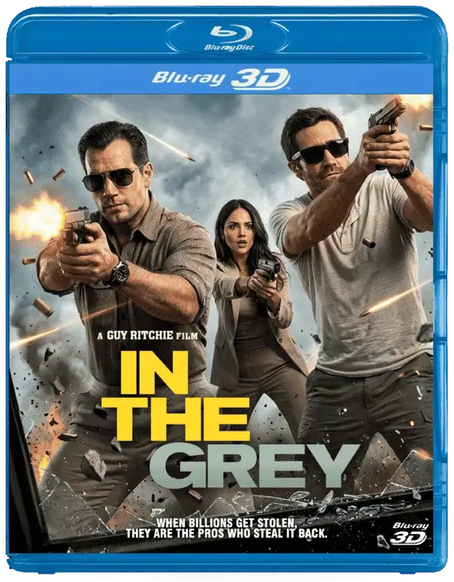 In the Grey 3D 2026